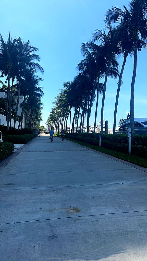 syd.shmitty image ~ Altpins