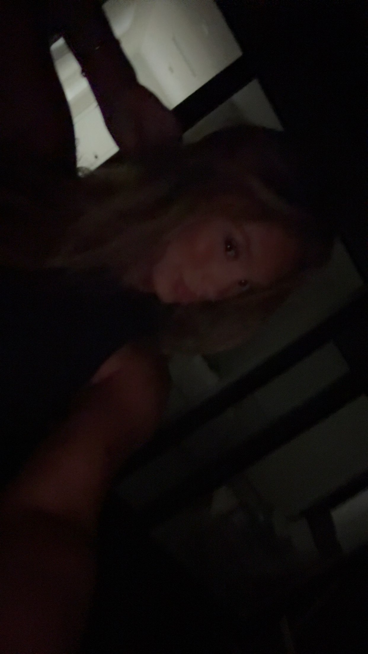 syd.shmitty snapchat image archive image