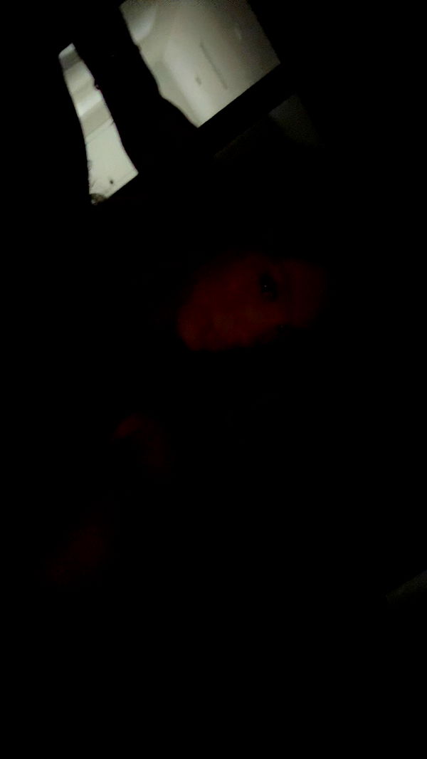 syd.shmitty image ~ Altpins