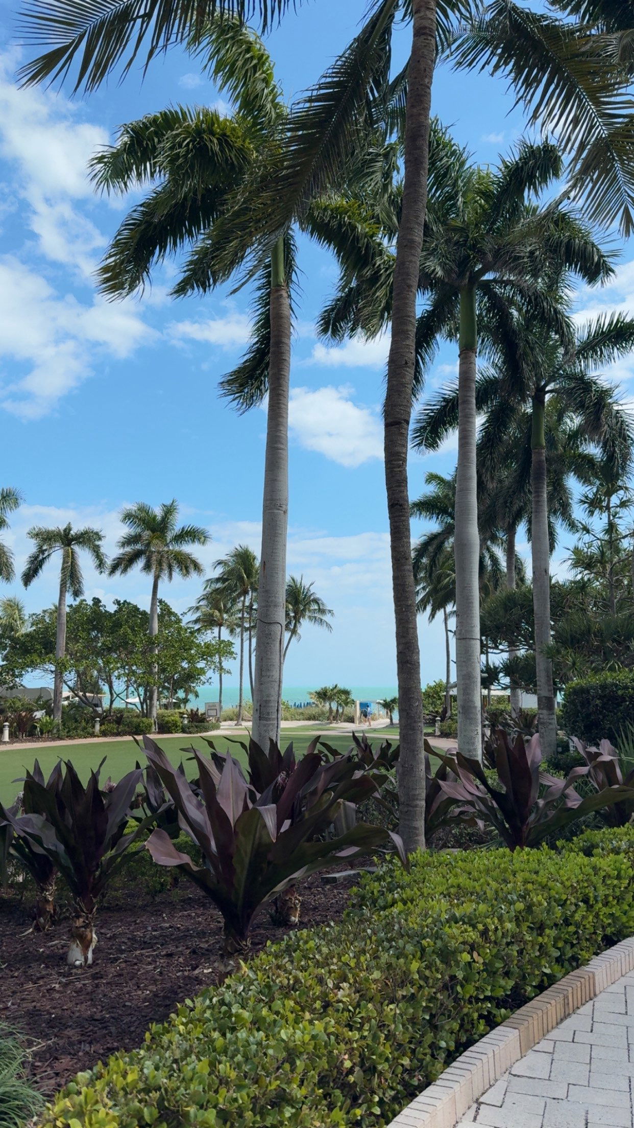 syd.shmitty snapchat image archive image