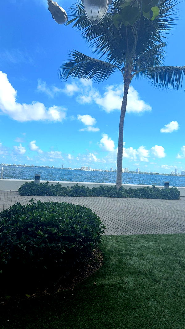 syd.shmitty image ~ Altpins