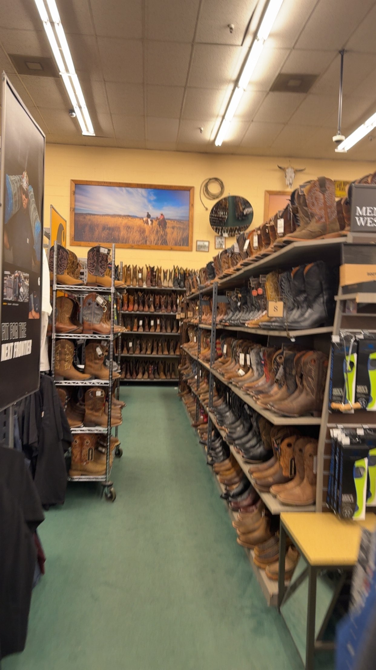 syd.shmitty snapchat image archive image