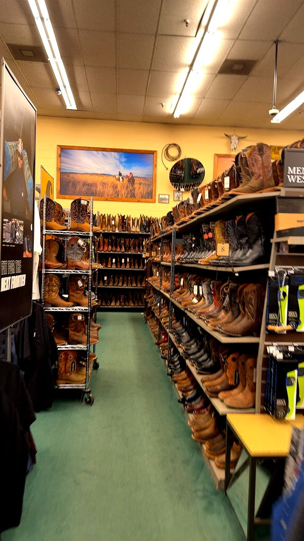 syd.shmitty image ~ Altpins