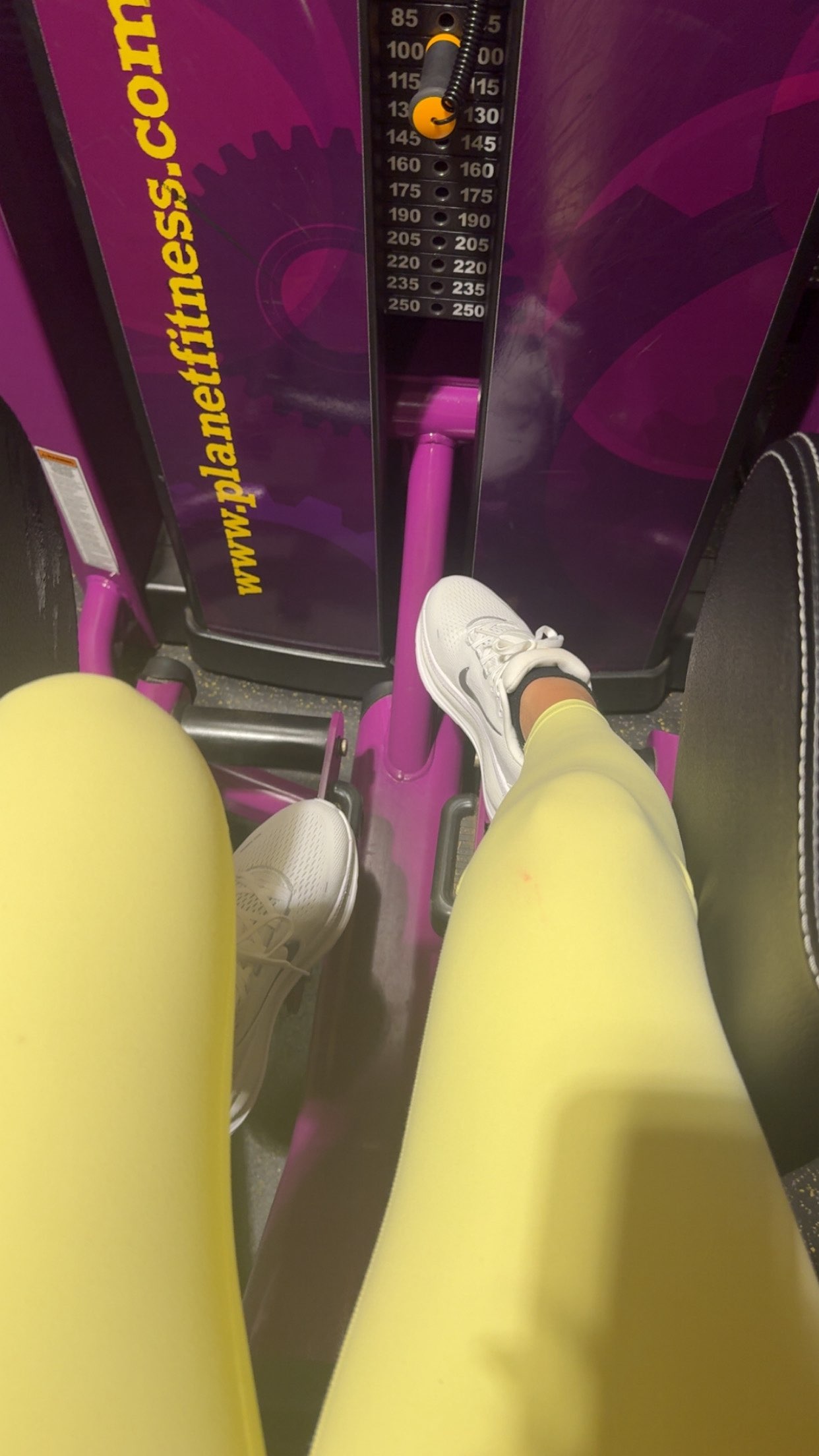 syd.shmitty snapchat image archive image