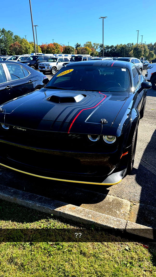 syd.shmitty image ~ Altpins