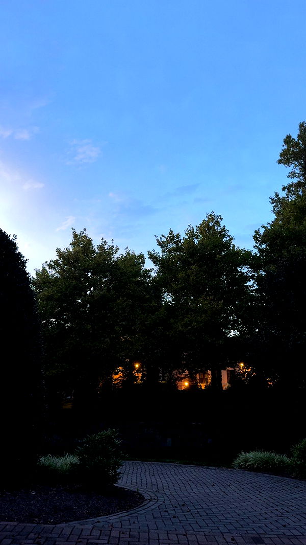 syd.shmitty image ~ Altpins