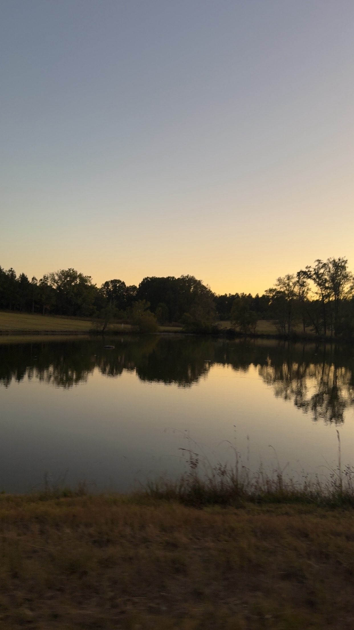 syd.shmitty snapchat image archive image