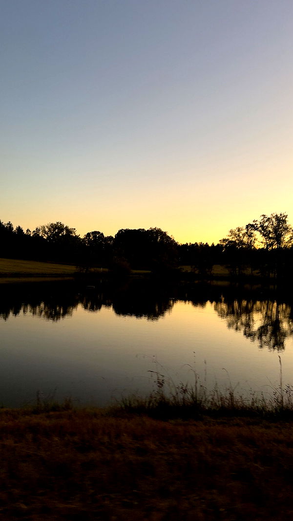 syd.shmitty image ~ Altpins