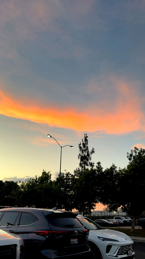 syd.shmitty image ~ Altpins