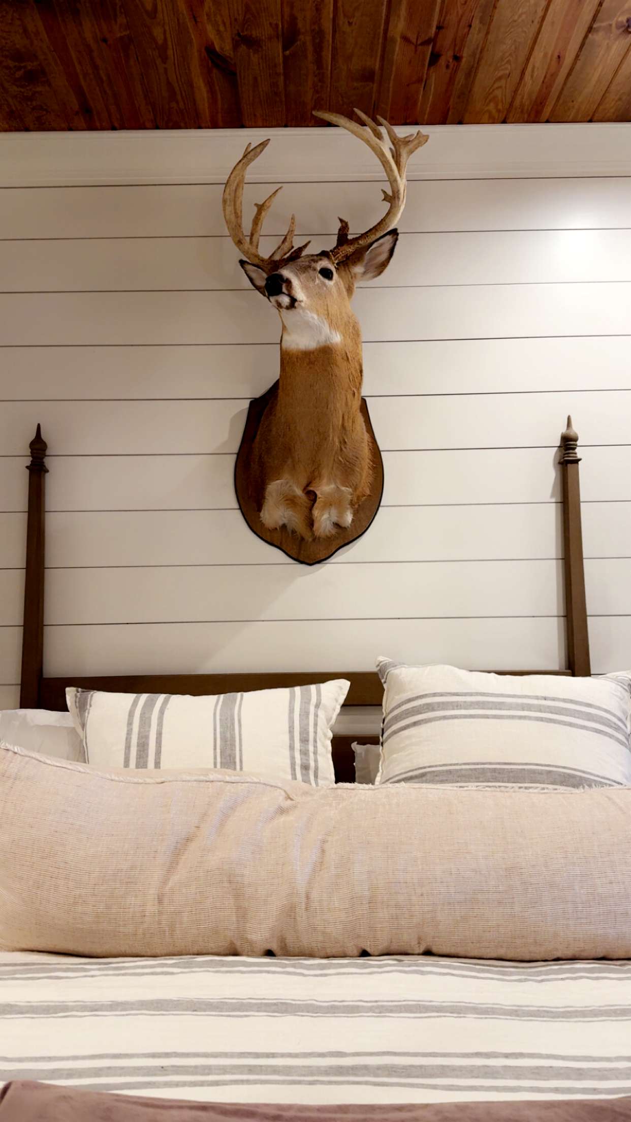 syd.shmitty snapchat image archive image