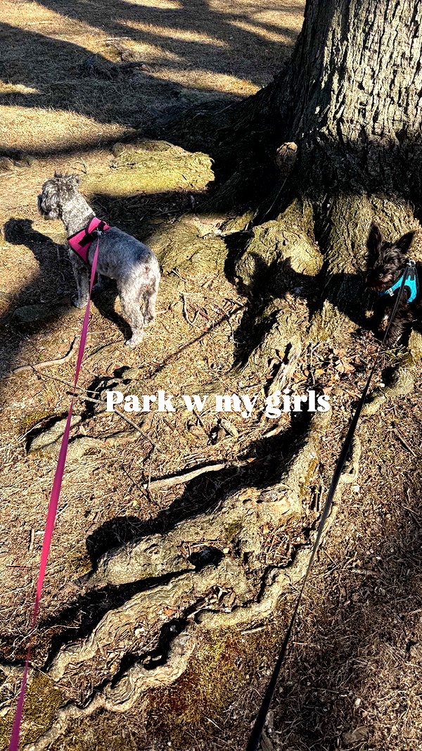 tanaraiin snapchat image archive image