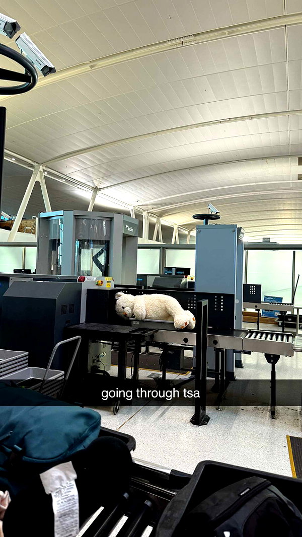 tonibreidingerr snapchat image archive image