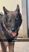 tonibreidingerr Altpins Profile Picture