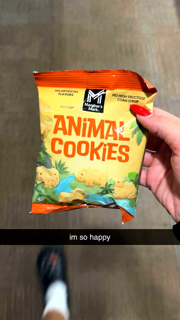 tonibreidingerr snapchat image archive image