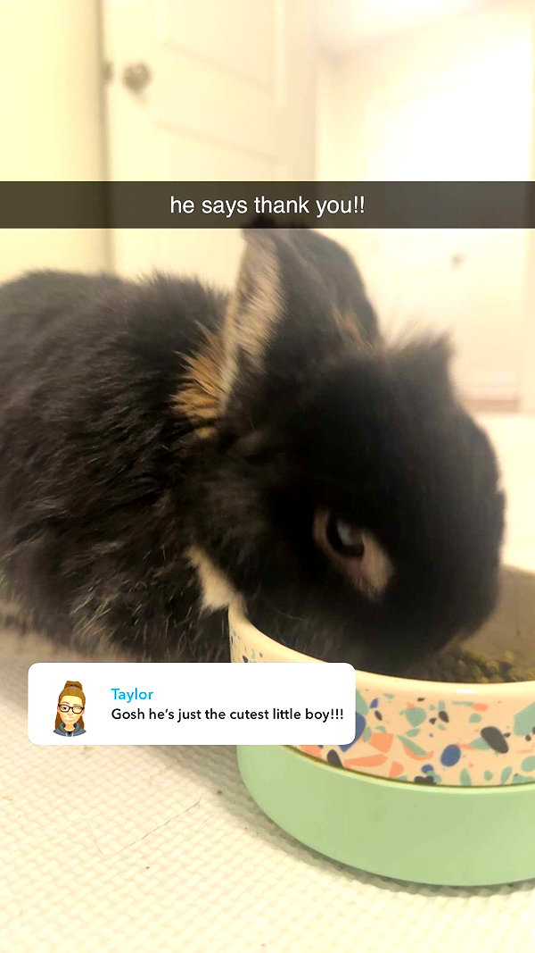 tonibreidingerr snapchat image archive image