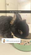 tonibreidingerr Altpins Profile Picture