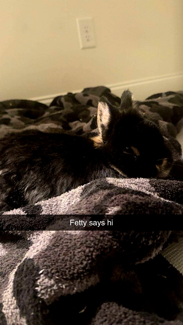 tonibreidingerr snapchat image archive image