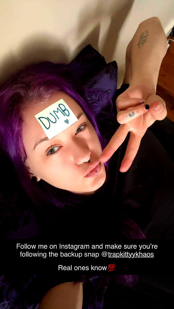 trappkittykhaos image ~ Altpins