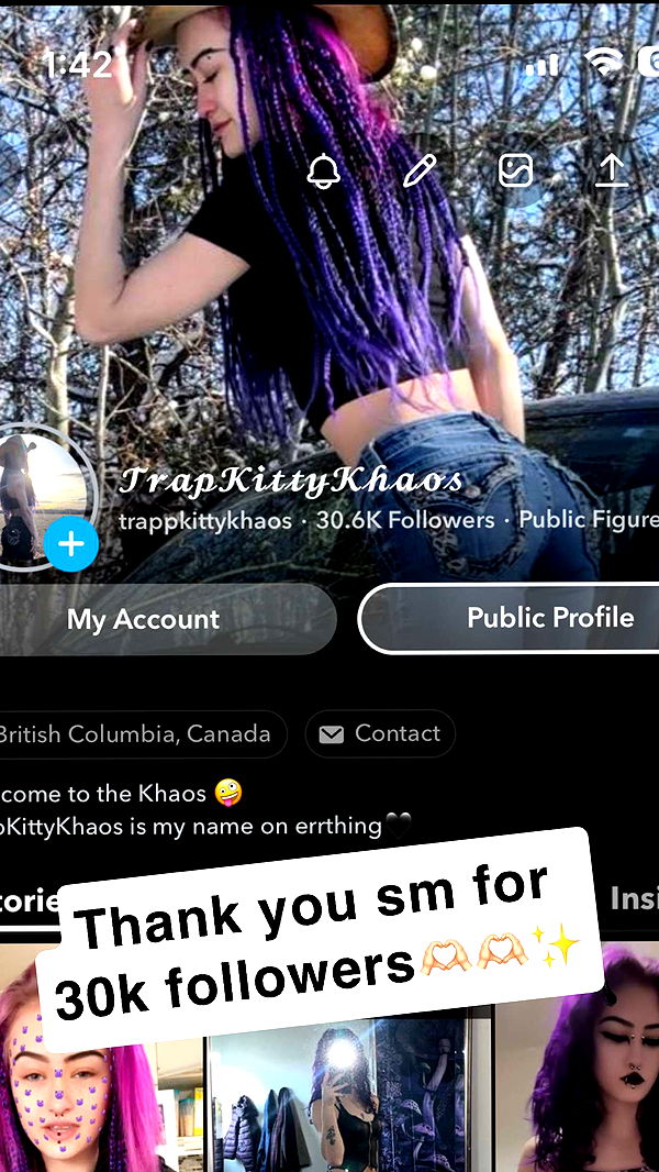 trappkittykhaos image ~ Altpins