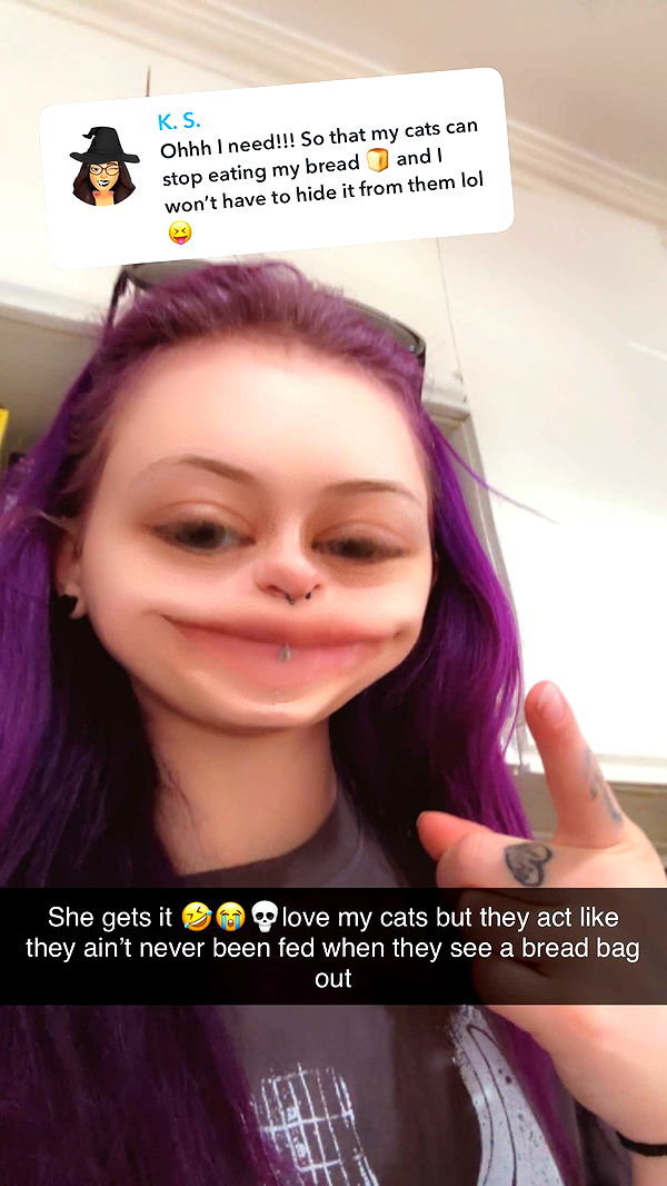 trappkittykhaos image ~ Altpins