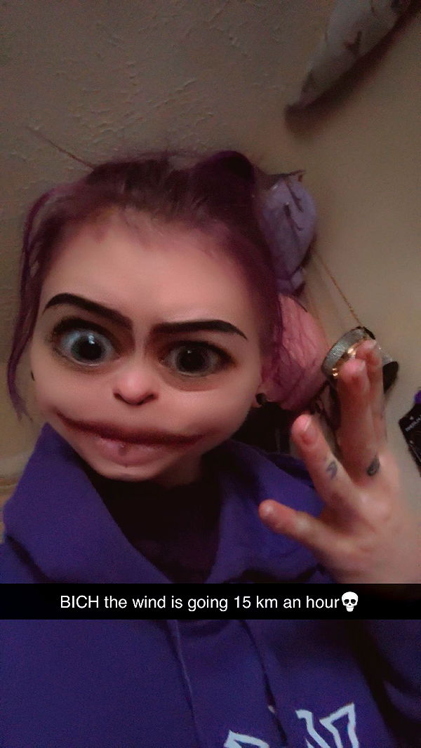 trappkittykhaos image ~ Altpins