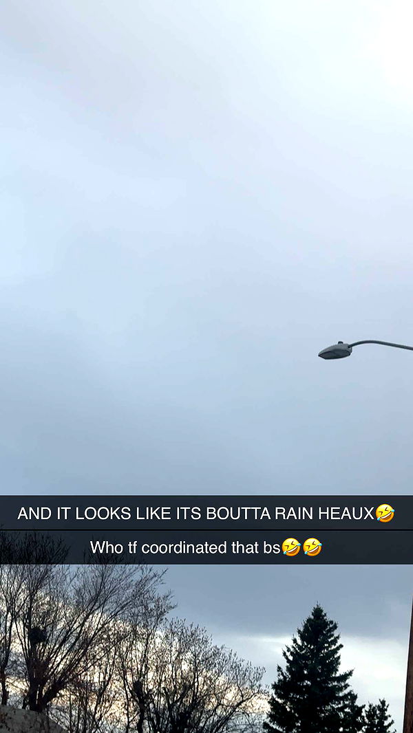 trappkittykhaos image ~ Altpins