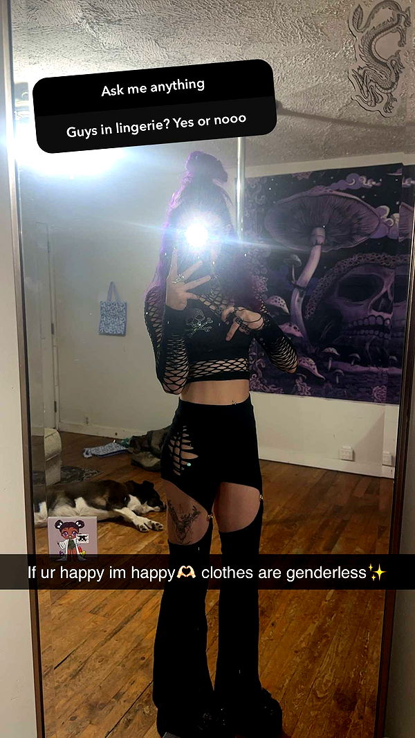 trappkittykhaos image ~ Altpins