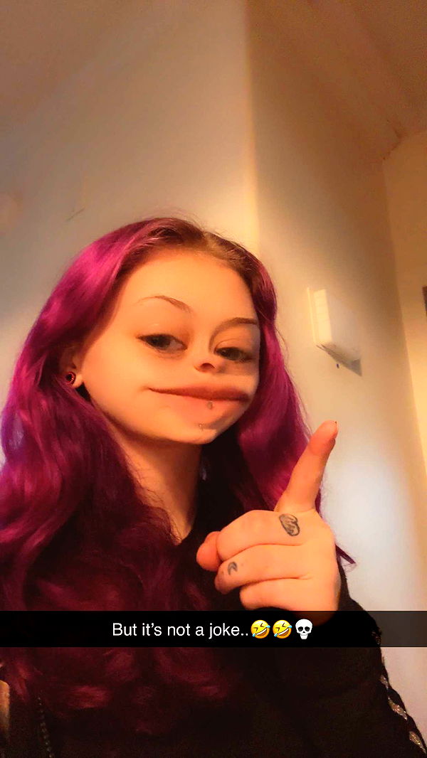 trappkittykhaos image ~ Altpins