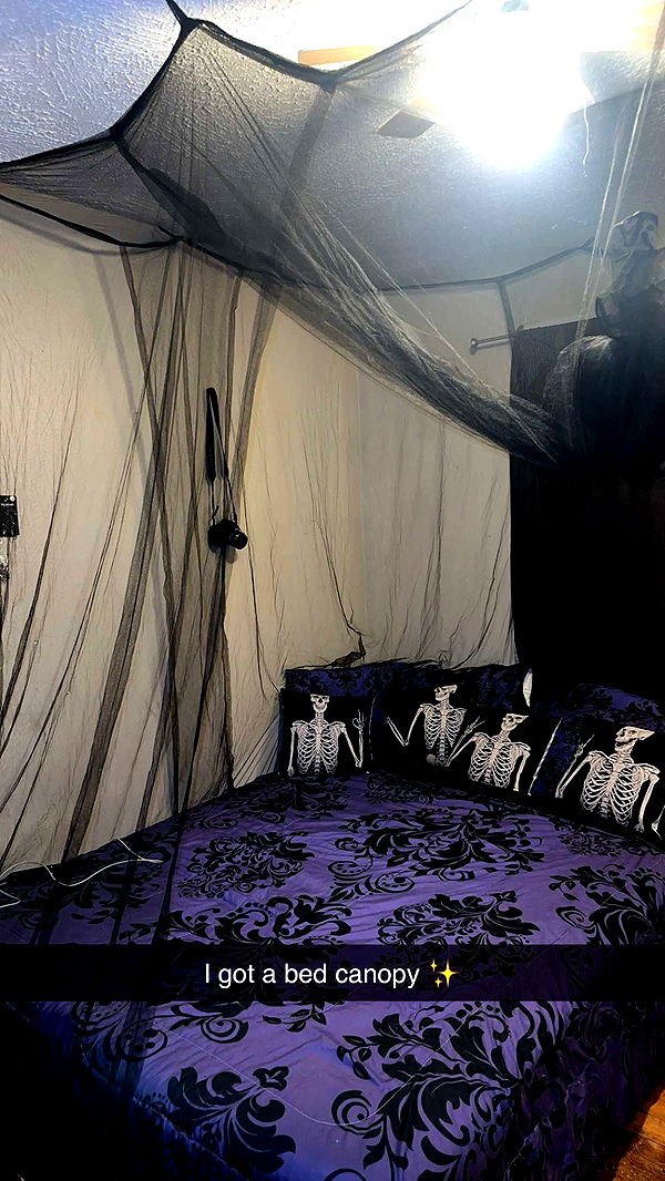 trappkittykhaos image ~ Altpins