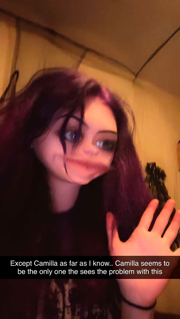 trappkittykhaos image ~ Altpins