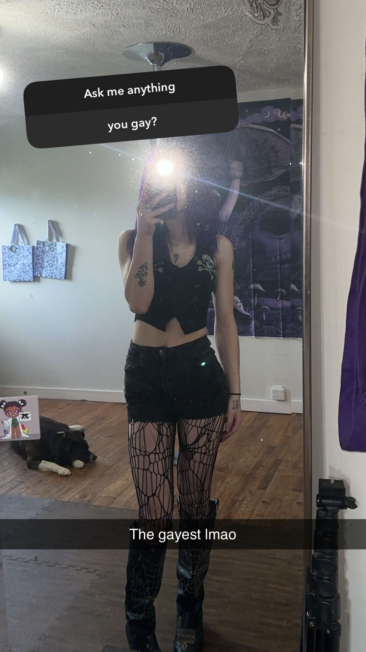 trappkittykhaos snapchat image archive image