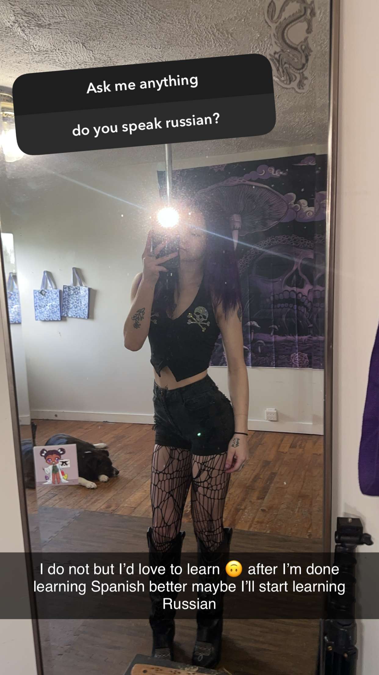 trappkittykhaos snapchat image archive image