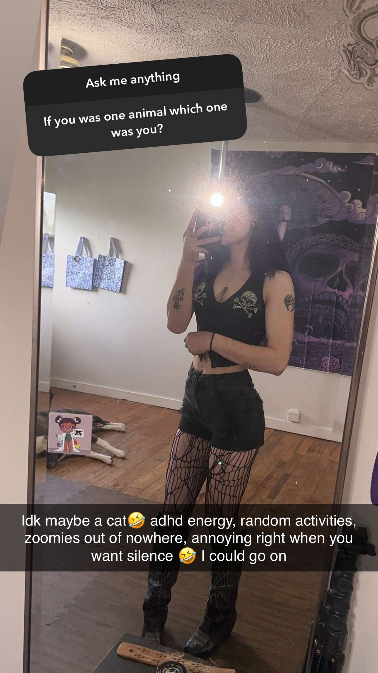 trappkittykhaos snapchat image archive image