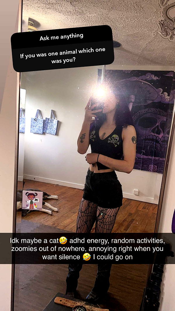 trappkittykhaos image ~ Altpins