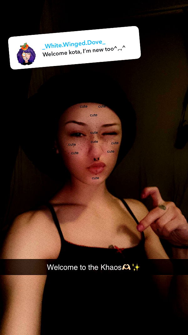 trappkittykhaos image ~ Altpins