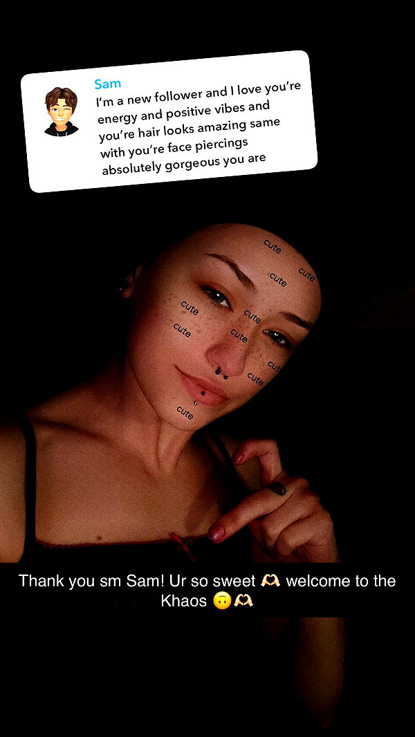 trappkittykhaos image ~ Altpins