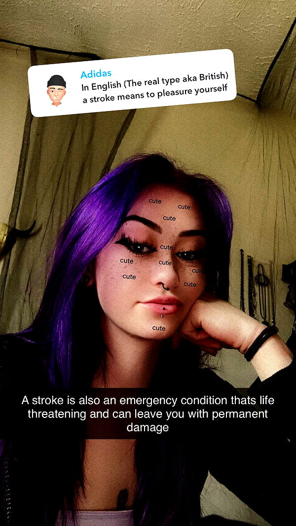 trappkittykhaos image ~ Altpins