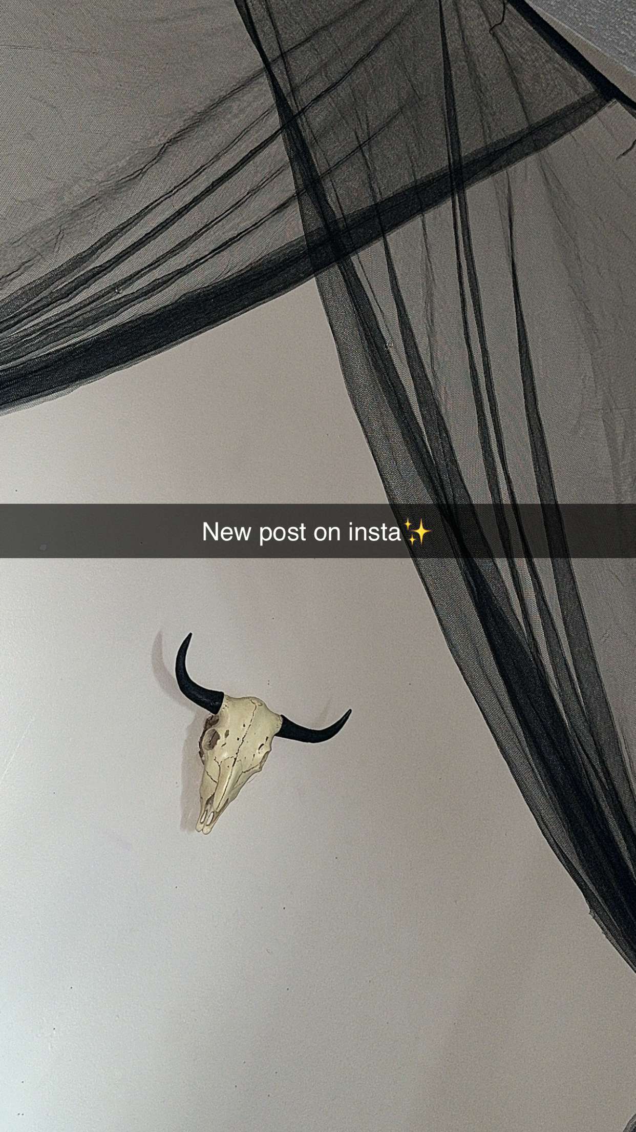 trappkittykhaos snapchat image archive image