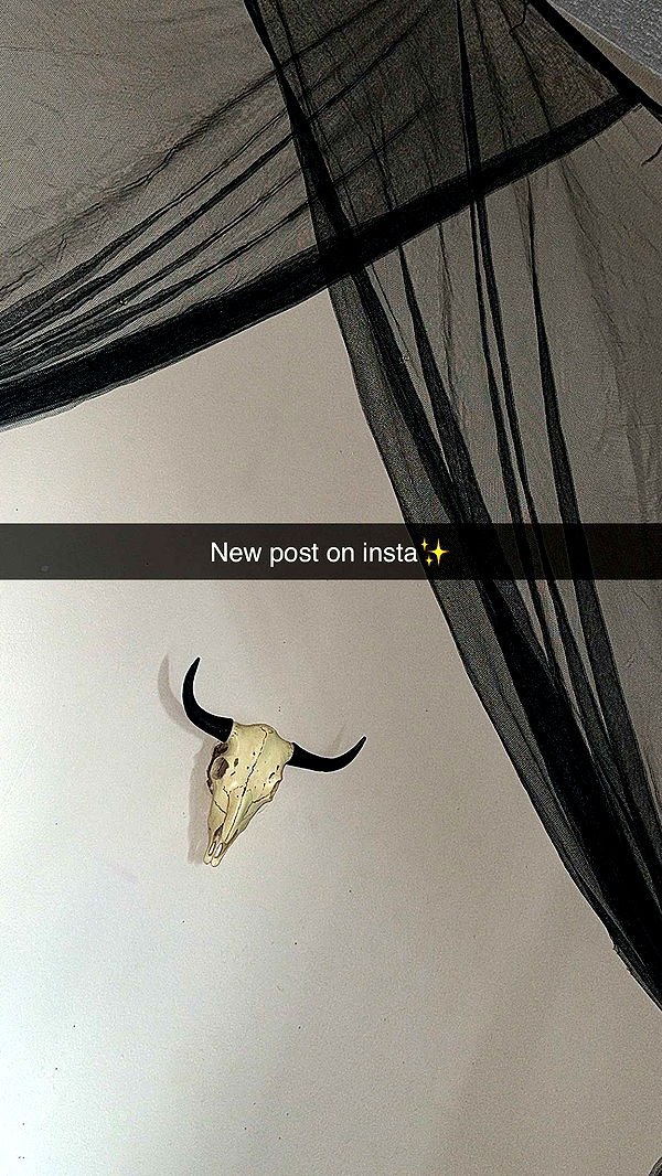 trappkittykhaos image ~ Altpins