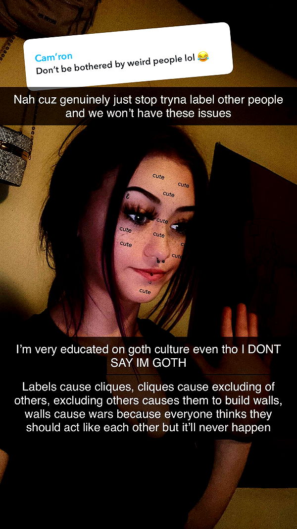 trappkittykhaos image ~ Altpins