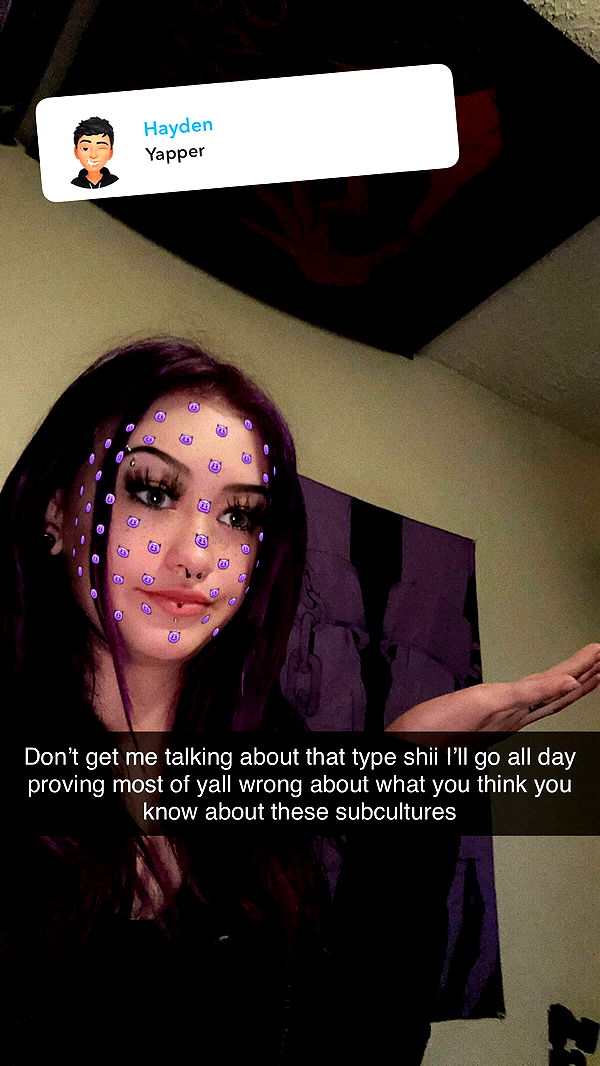 trappkittykhaos image ~ Altpins