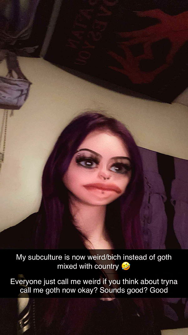 trappkittykhaos image ~ Altpins