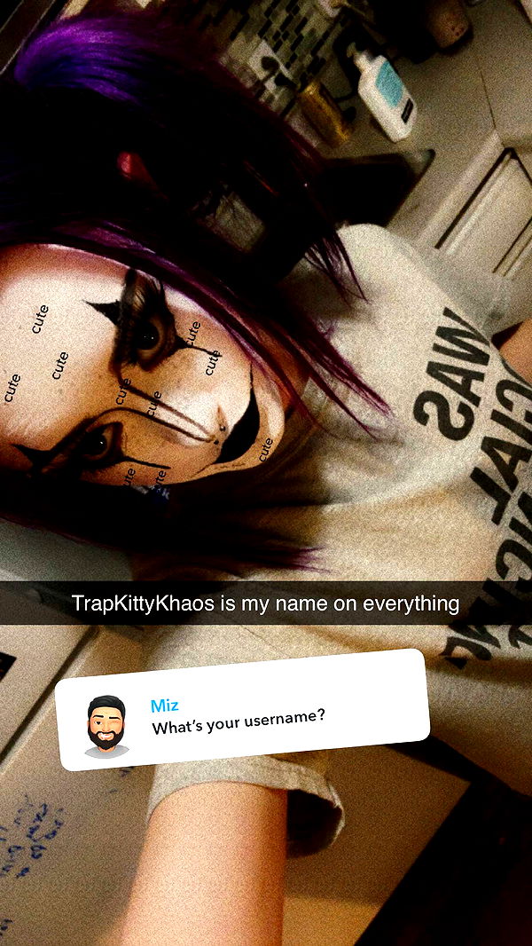 trappkittykhaos image ~ Altpins