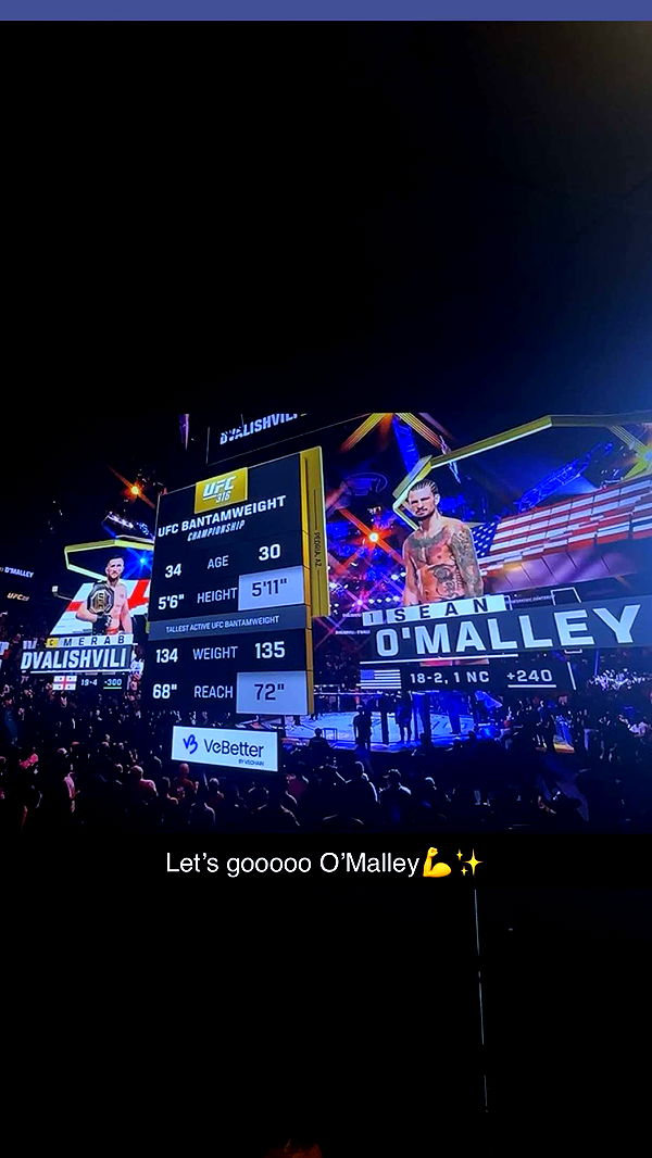 trappkittykhaos image ~ Altpins