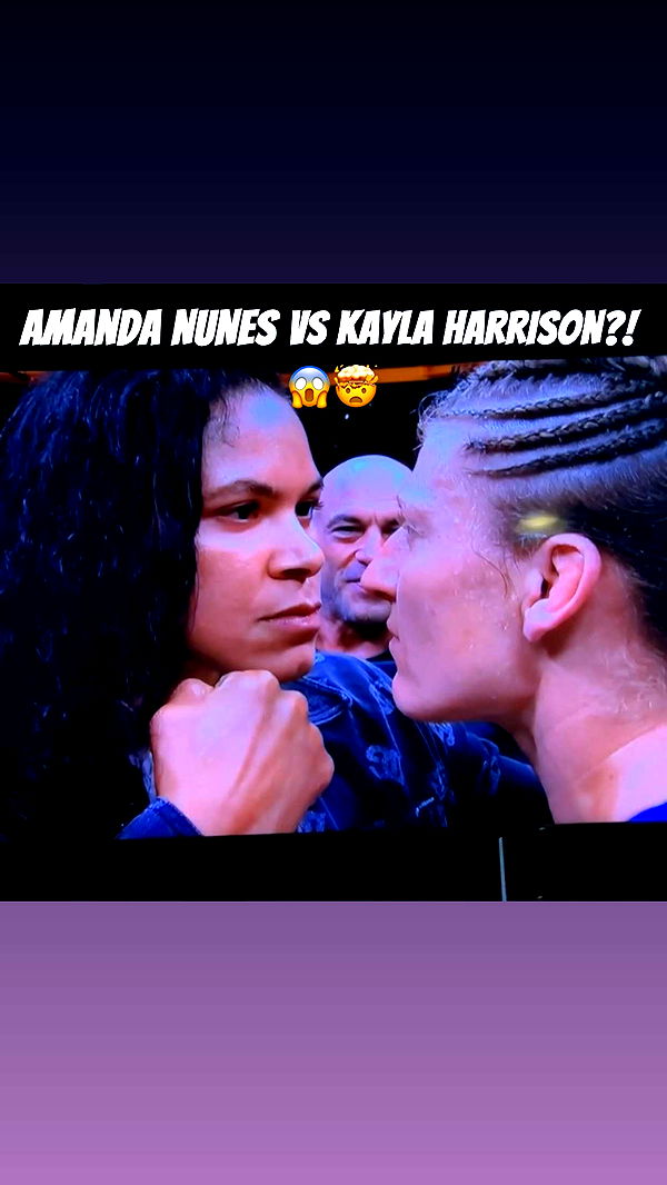 trappkittykhaos image ~ Altpins