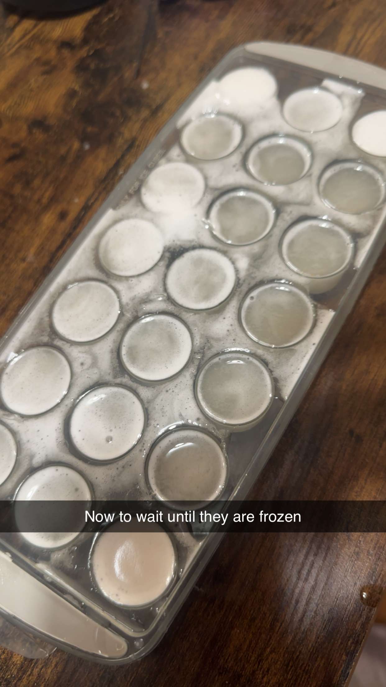 trappkittykhaos snapchat image archive image