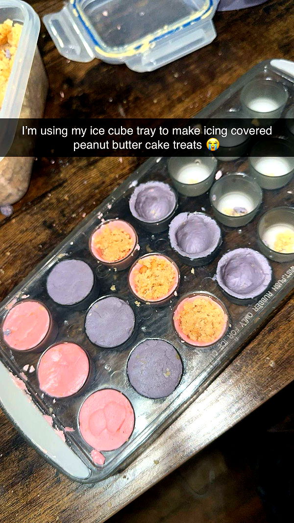 trappkittykhaos image ~ Altpins