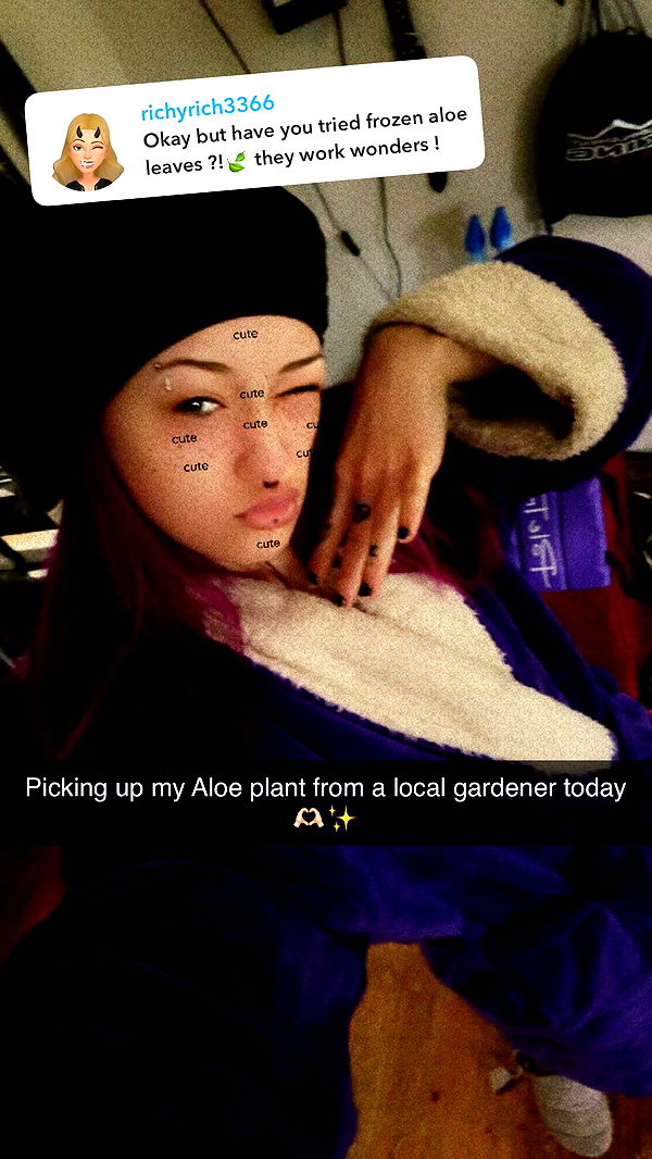 trappkittykhaos image ~ Altpins