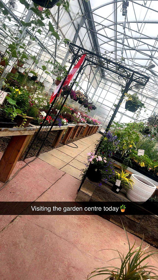 trappkittykhaos image ~ Altpins