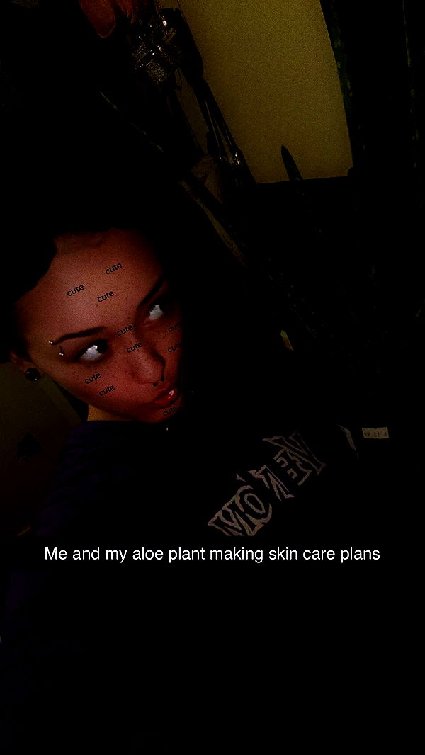 trappkittykhaos image ~ Altpins